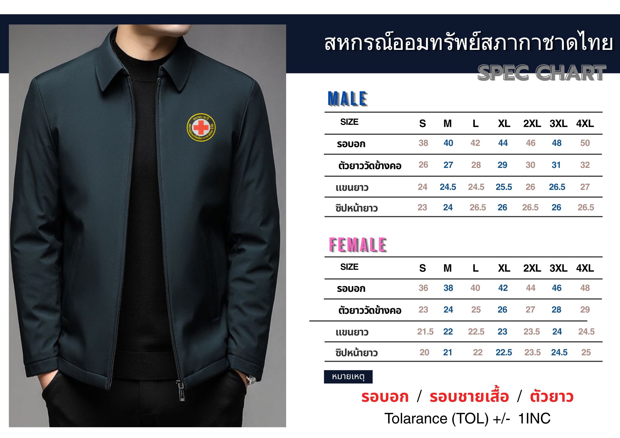 ตารางไซส์